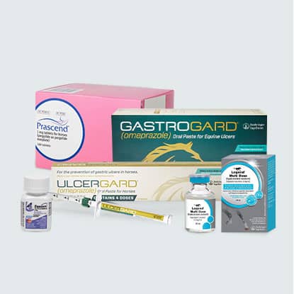 Boehringer Ingleheim products with available rebates for sale at FarmVet.com.